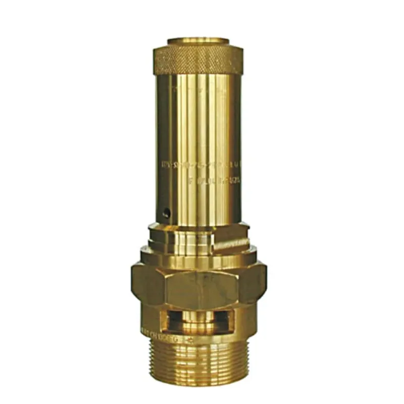 Ventil pojistný 06C02.A001, pro vzduch 3/4" 6,9 bar Omezená Nabídka